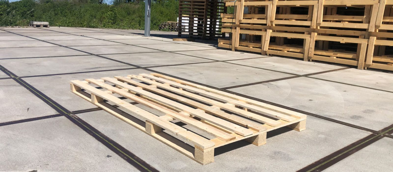 Holzpalette-2400×1200-7-Deck-LOGPOL
