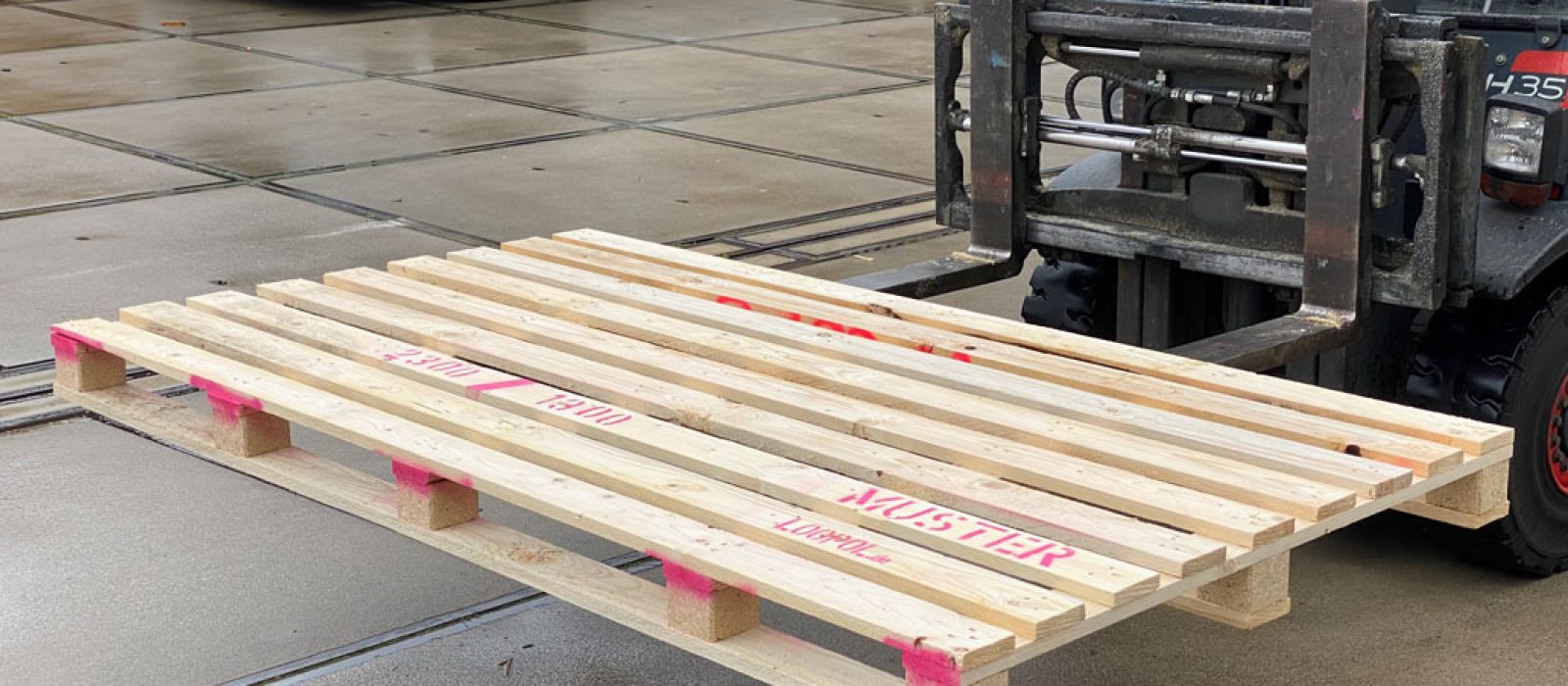 Holzpalette-2300×1300-9-Deck-LOGPOL